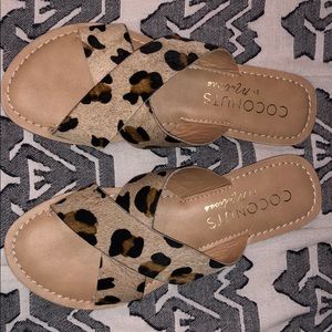 Coconuts by Matisse Leopard Print Slides